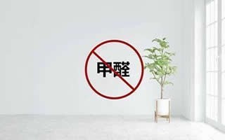 专业承接整理师 测甲醛 四害消杀 开荒保洁开荒公司